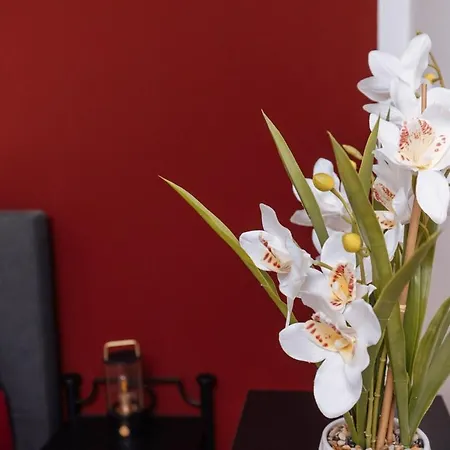 アパート Vivid & Red - Netflix - - Wifi - 4 Person