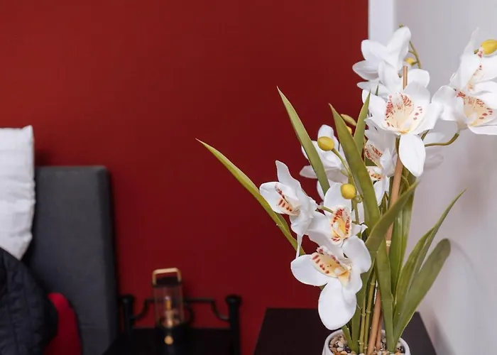 Lejlighed Vivid & Red - Netflix - - Wifi - 4 Person